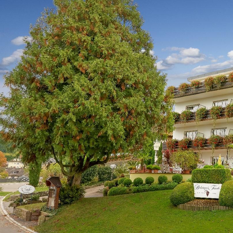 Restaurant "Hotel Behringer