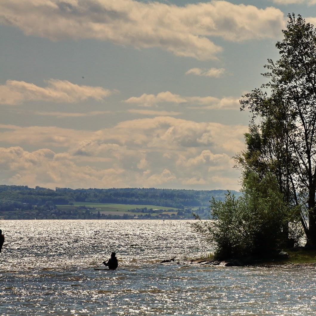 Restaurant "Wassersportverein Fischbach eV" in  Friedrichshafen