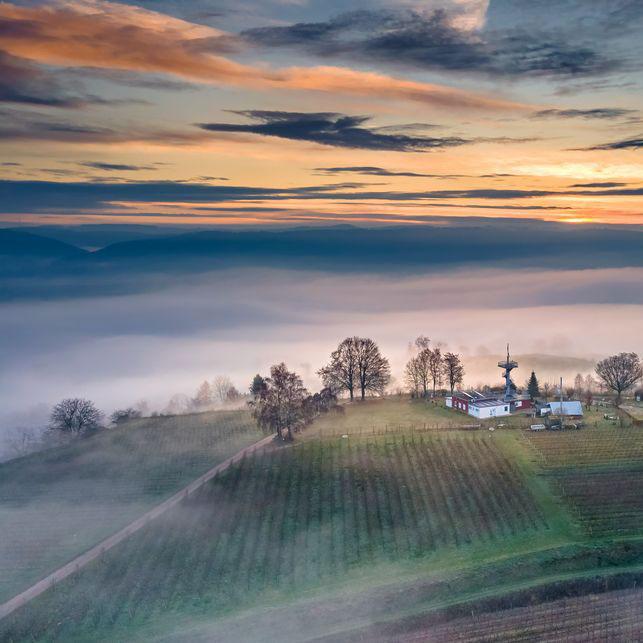 Restaurant "zum Heuberg" in Ettenheim