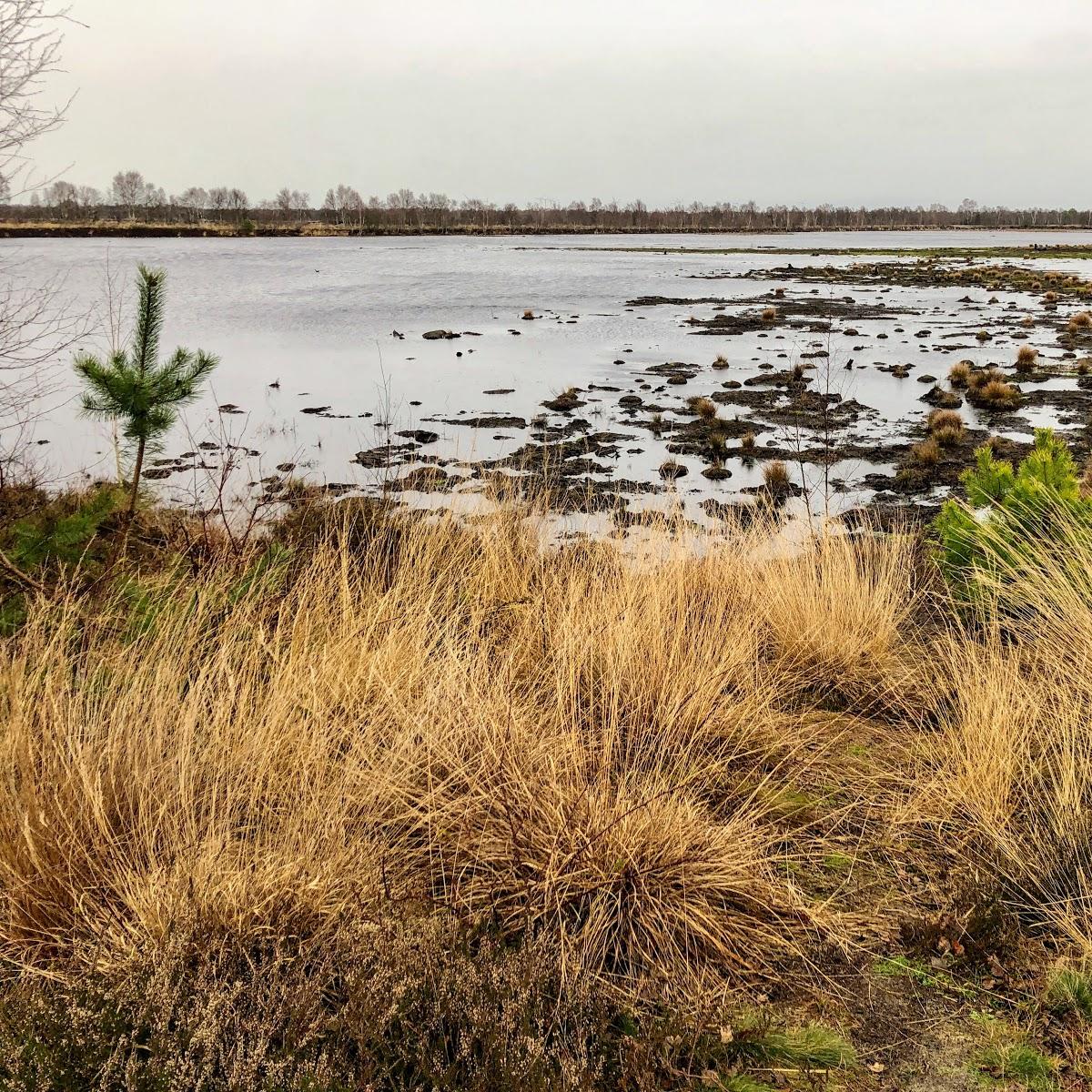 Restaurant "Häserhof | Alte Schule" in  Raddestorf