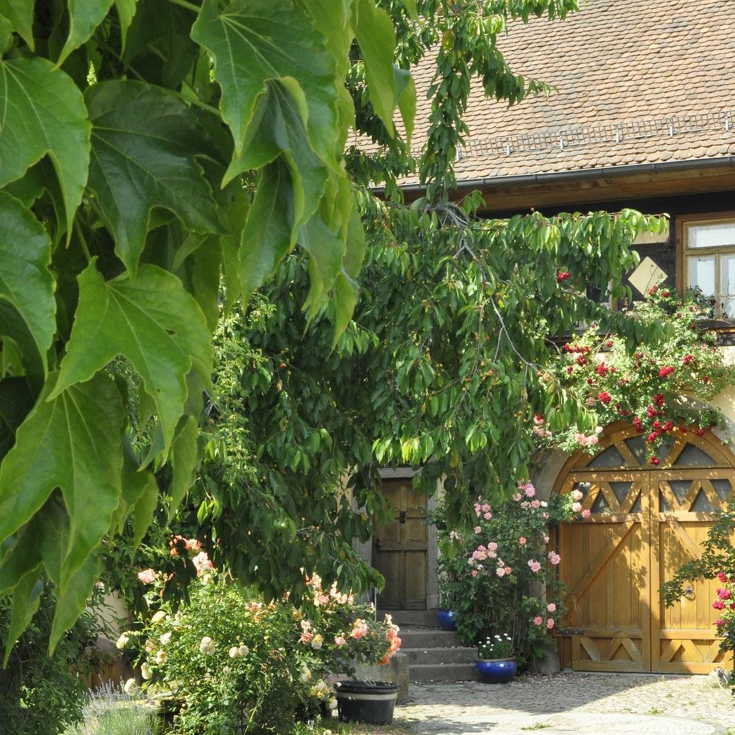 Restaurant "Gastezimmer - Fuhrhalterei Maul" in Breuberg