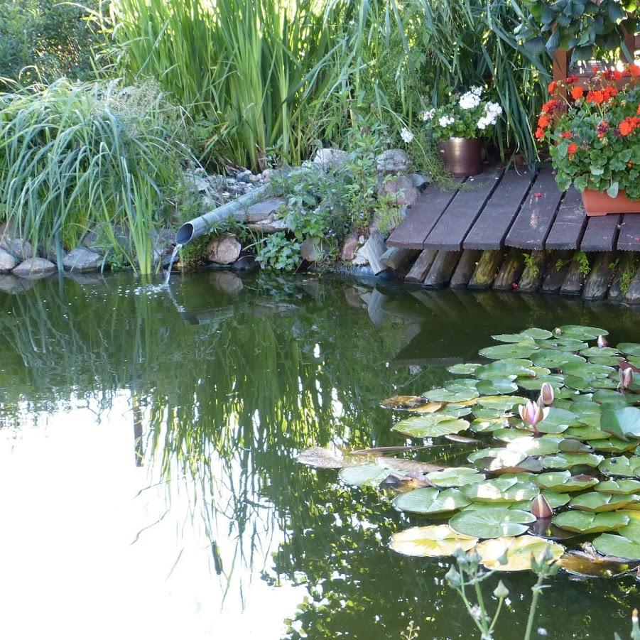 Restaurant "Pension Auf dem Wolfsberg" in Groß Kreutz (Havel)