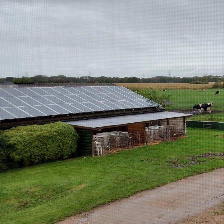Restaurant "Ferienhof Tams" in Börm