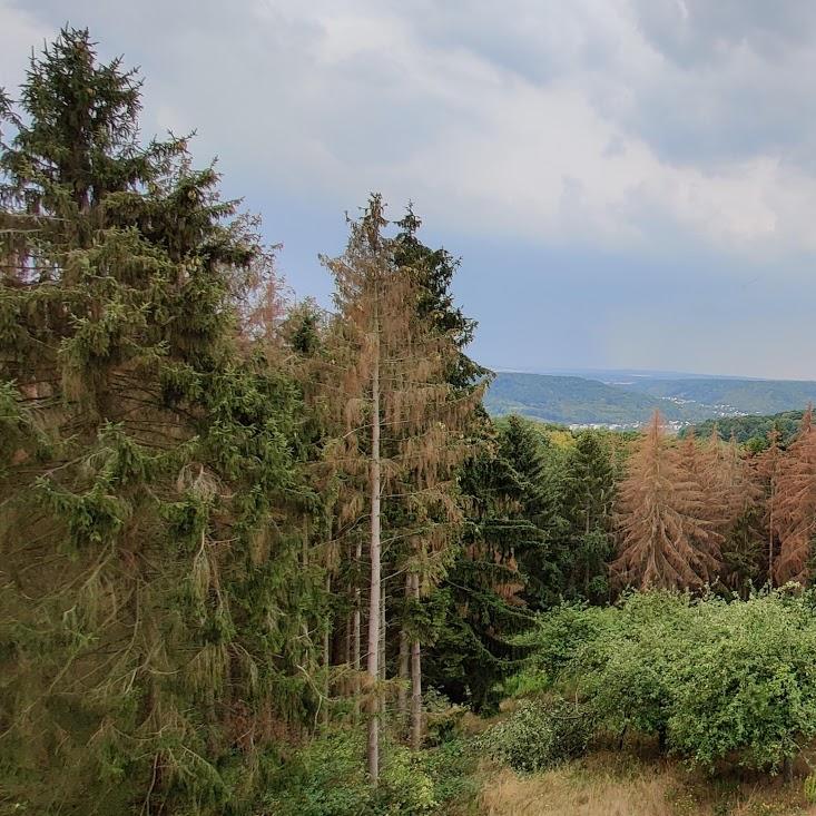 Restaurant "Gute Zeit" in Rheinbrohl