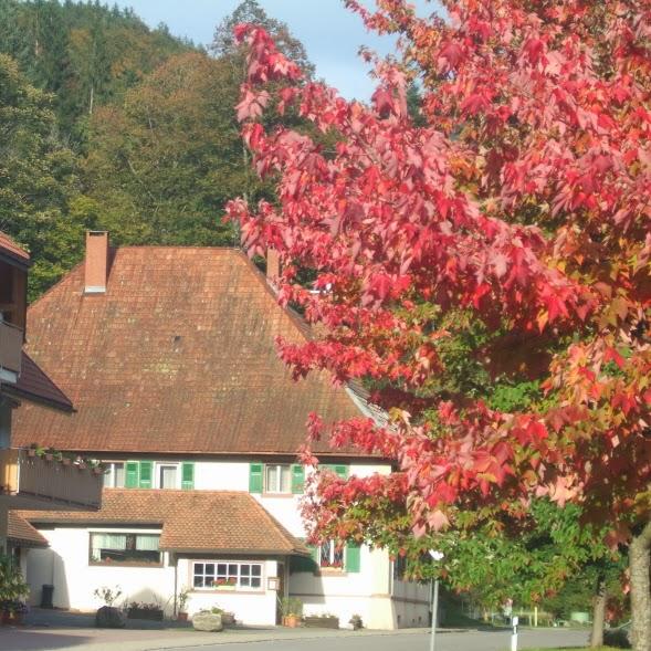Restaurant "Haus Barnabas" in Utzenfeld