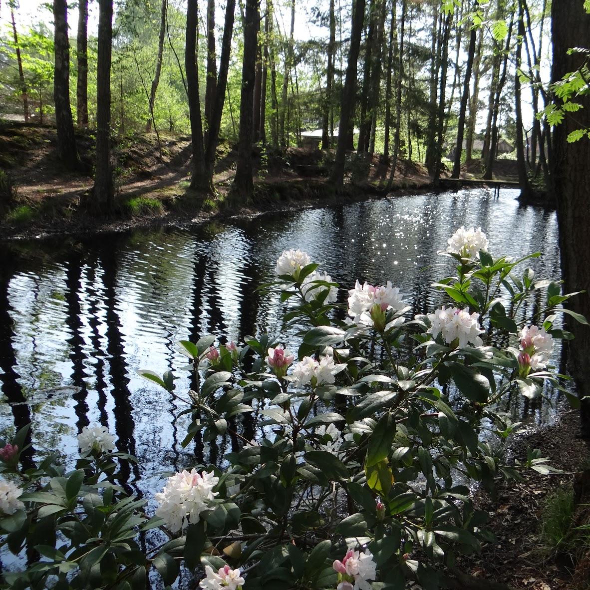 Restaurant "Ferienwohung  Die Schöne vom Lande ,  Die kleine Schwester  und  Am Apfelbaum  im Haus Tusculum" in Faßberg