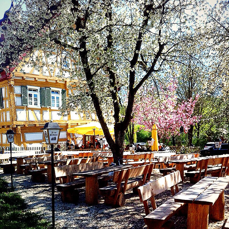 Restaurant "Restaurant Altes Rathaus" in  Plüderhausen