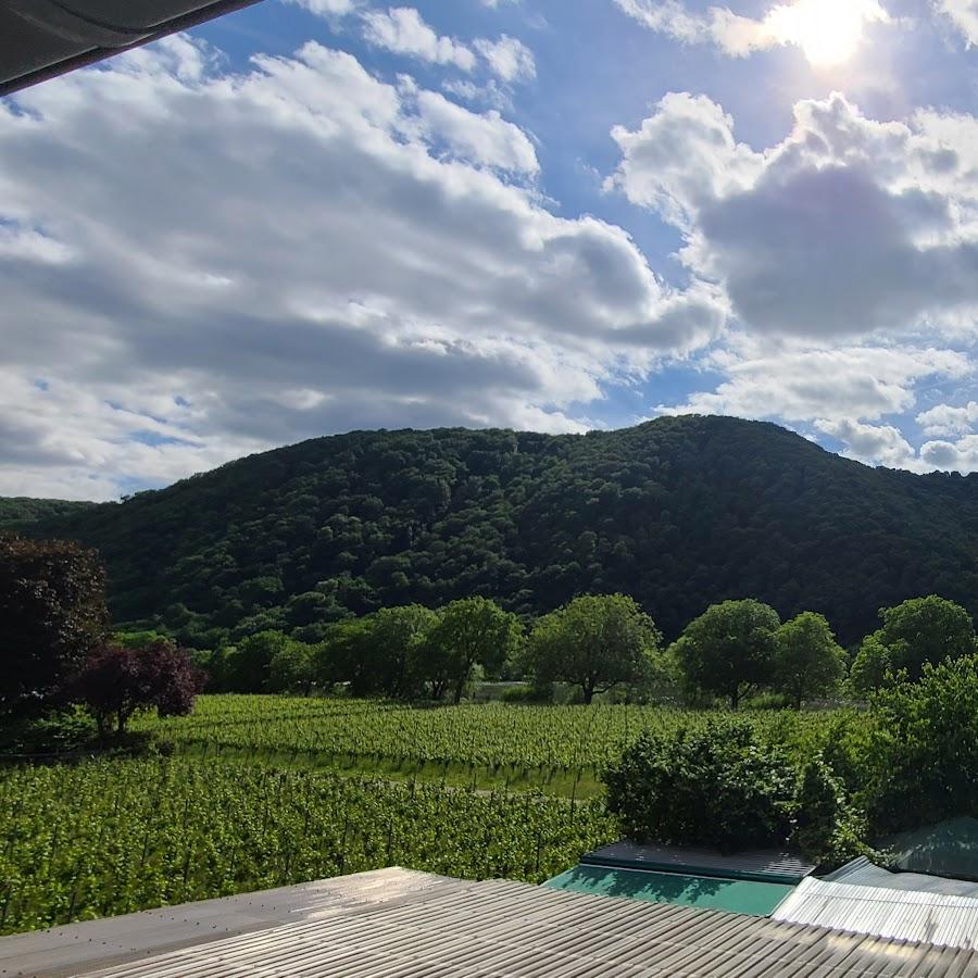 Restaurant "Weingut und Pension Markus Kochems" in Mesenich