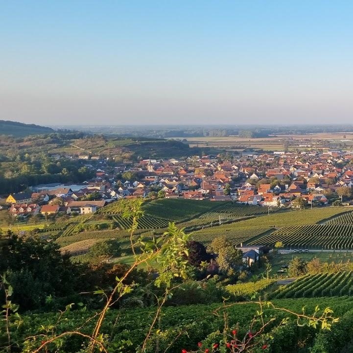 Restaurant "Kais Winzerhof" in Sasbach am Kaiserstuhl