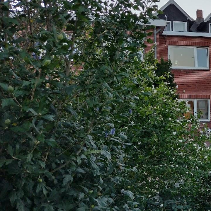 Restaurant "Heiko Sieb" in Wischhafen