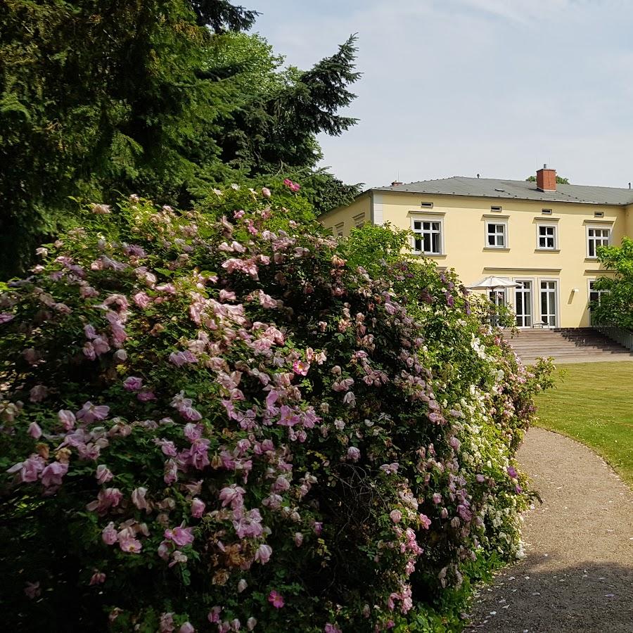 Restaurant "Gutshaus Landsdorf" in Tribsees