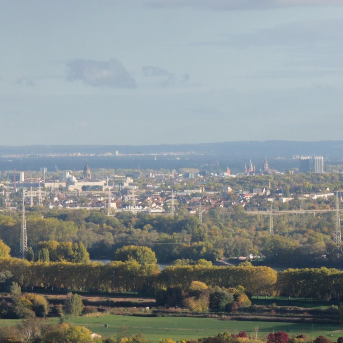 Restaurant "Waldhütte" in Walluf