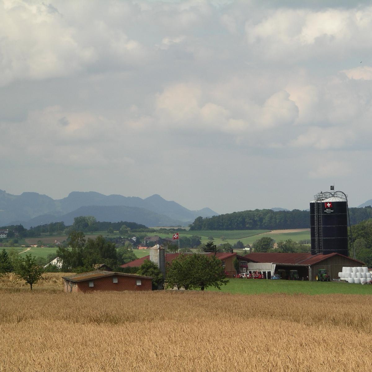 Restaurant "Leimenhof" in Wenslingen