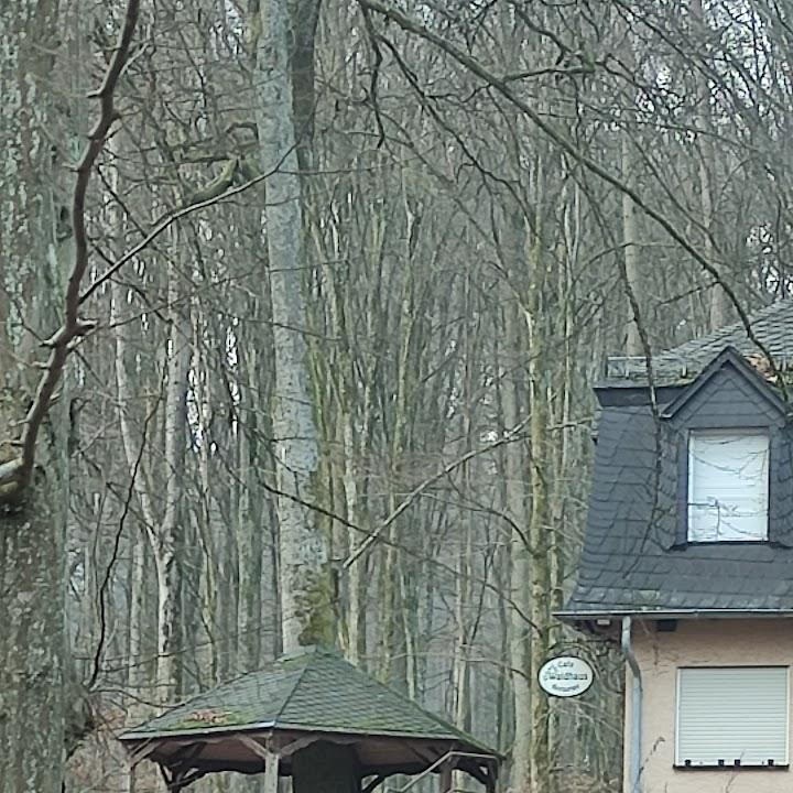 Restaurant "Gaststätte Waldhaus" in Ehringshausen