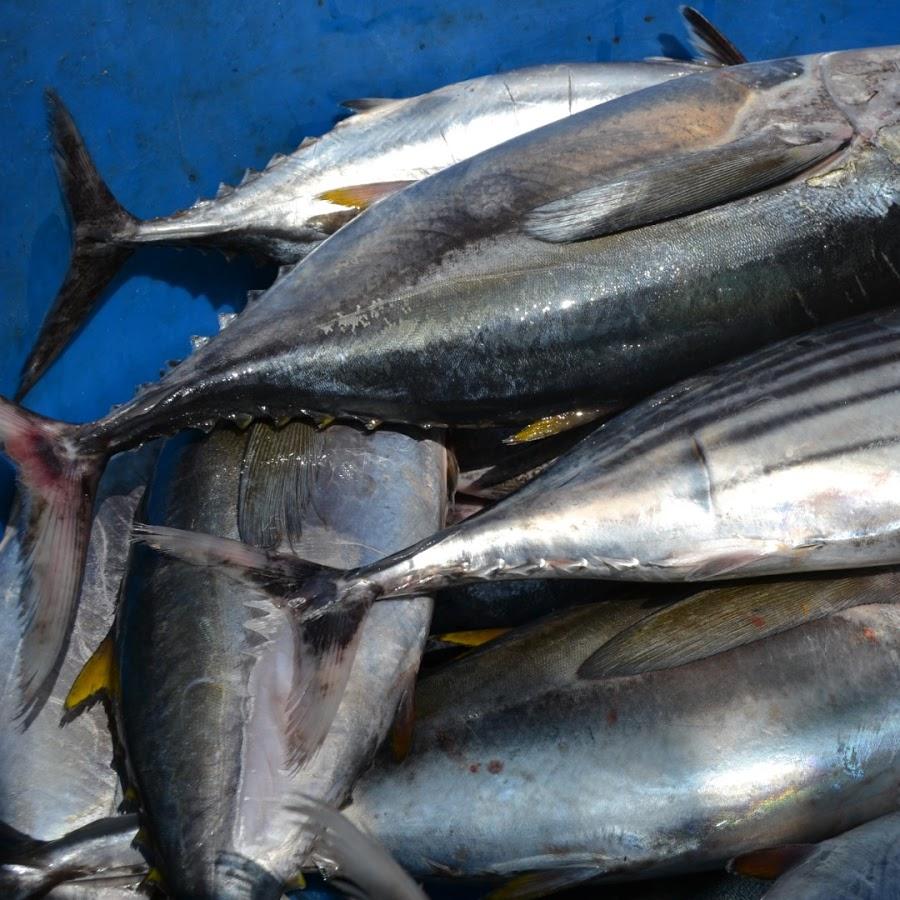 Restaurant "Westcoast Seafood e.K" in Kiedrich