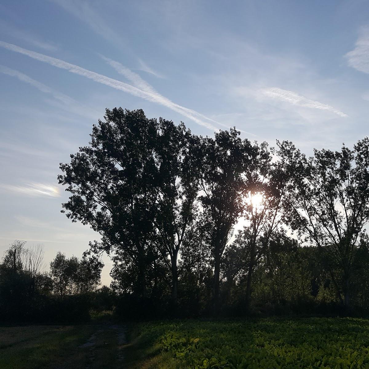 Restaurant "Gebel" in Osthofen