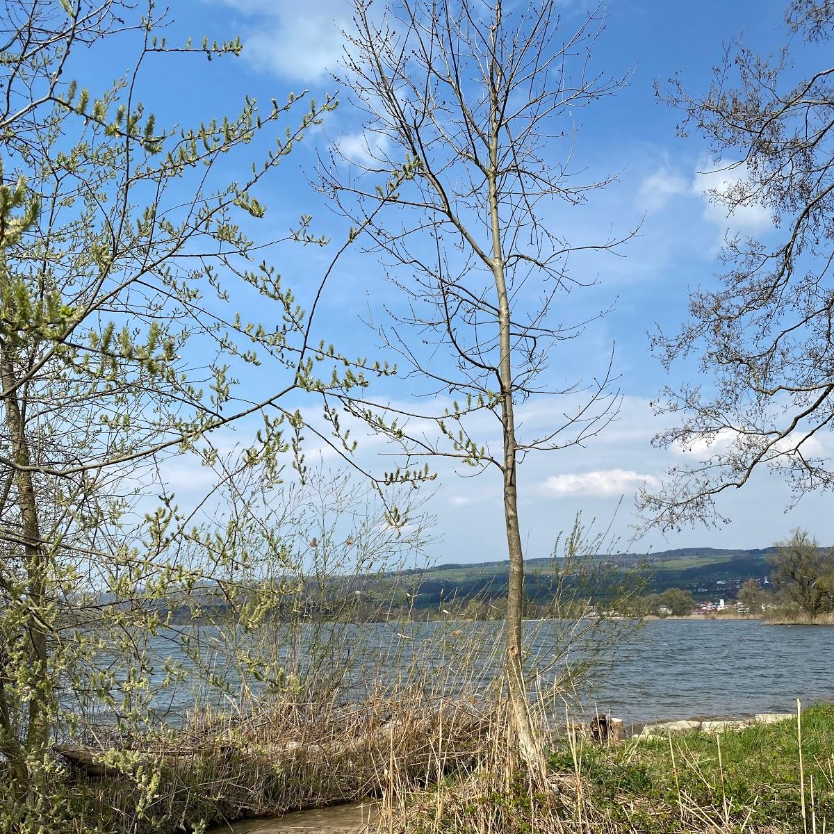 Restaurant "Grotto Forellen" in Römerswil