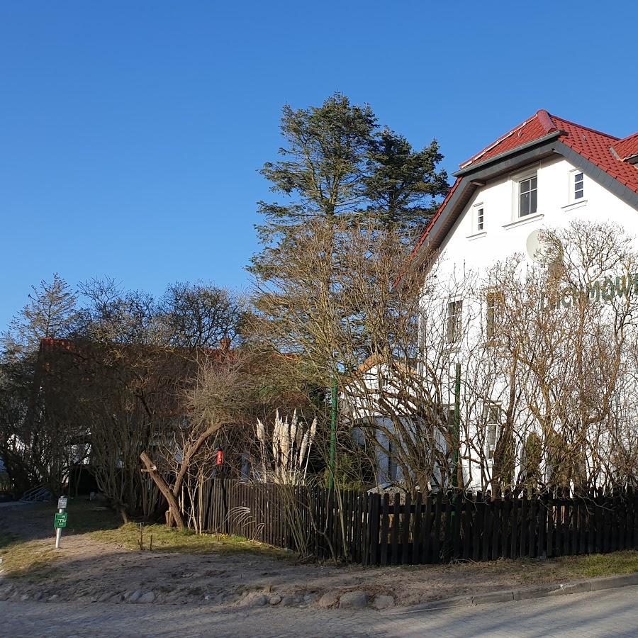 Restaurant "Pension Lachmöwe Inh. Ulrike Kapp" in Insel Hiddensee