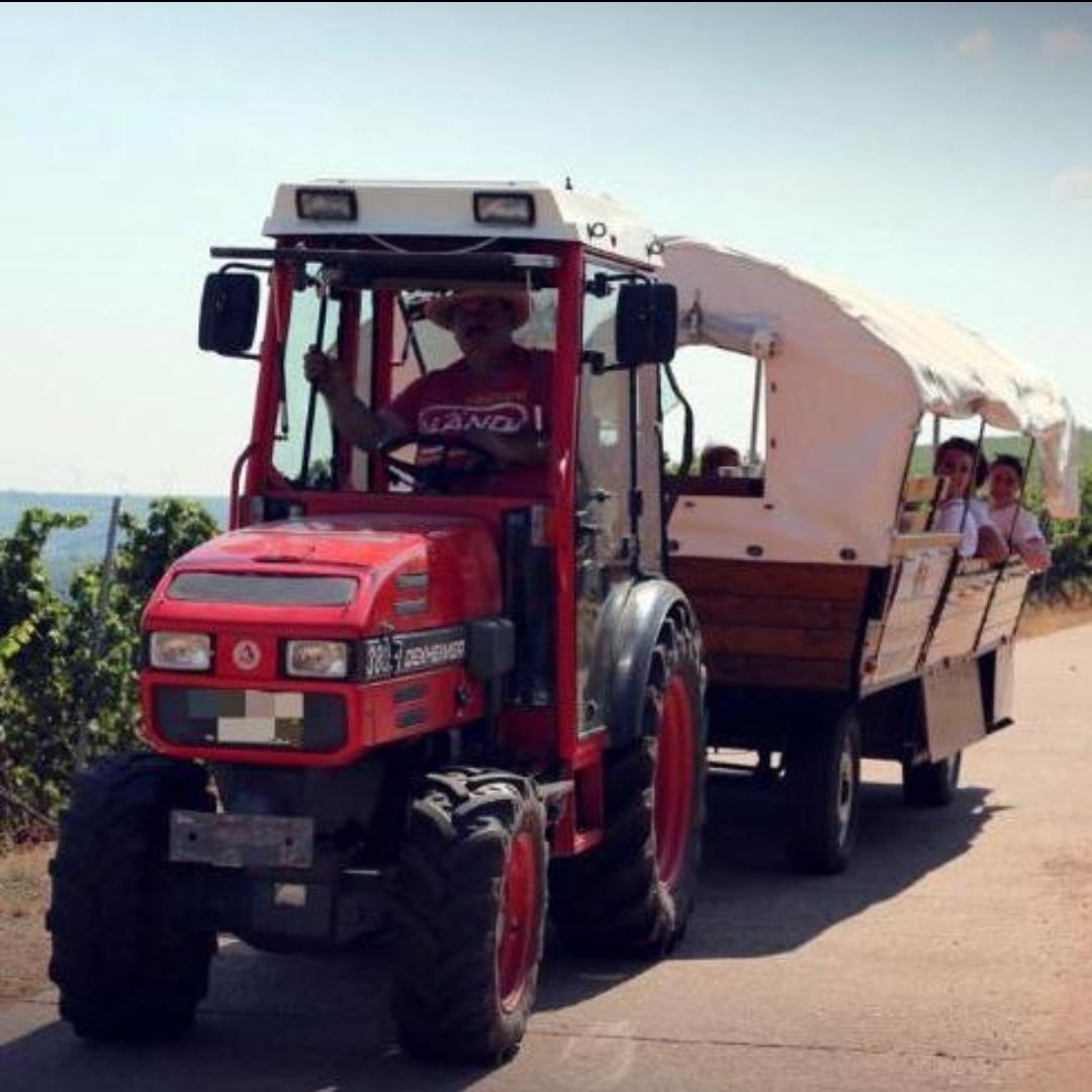 Restaurant "Weingut Ludwig , Weinbergsfahrten ,Flaschenwein Weinverkostung" in Nackenheim