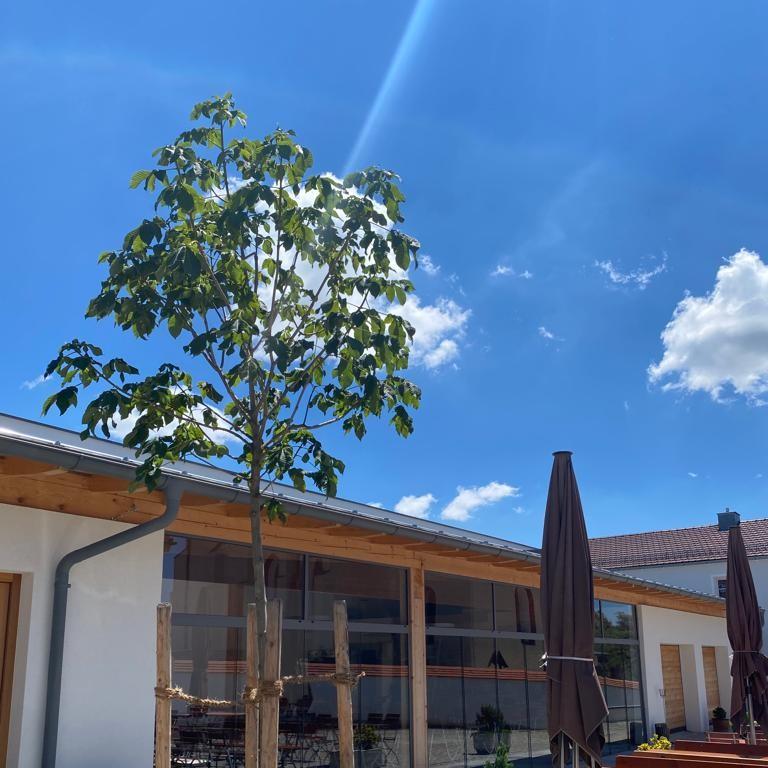 Restaurant "PIZZERIA MARIO" in Aldersbach