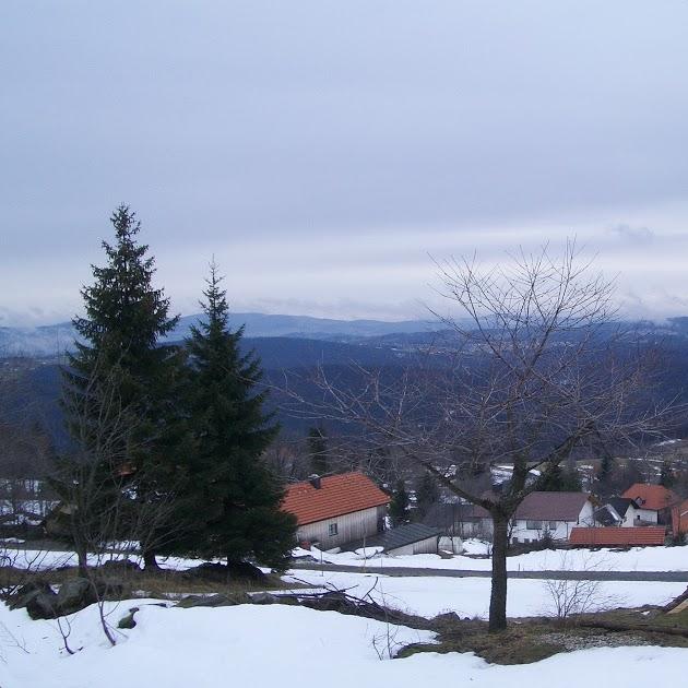 Restaurant "Steinbüchler Hotels Betriebsgesellschaft m.b.H." in Neuschönau