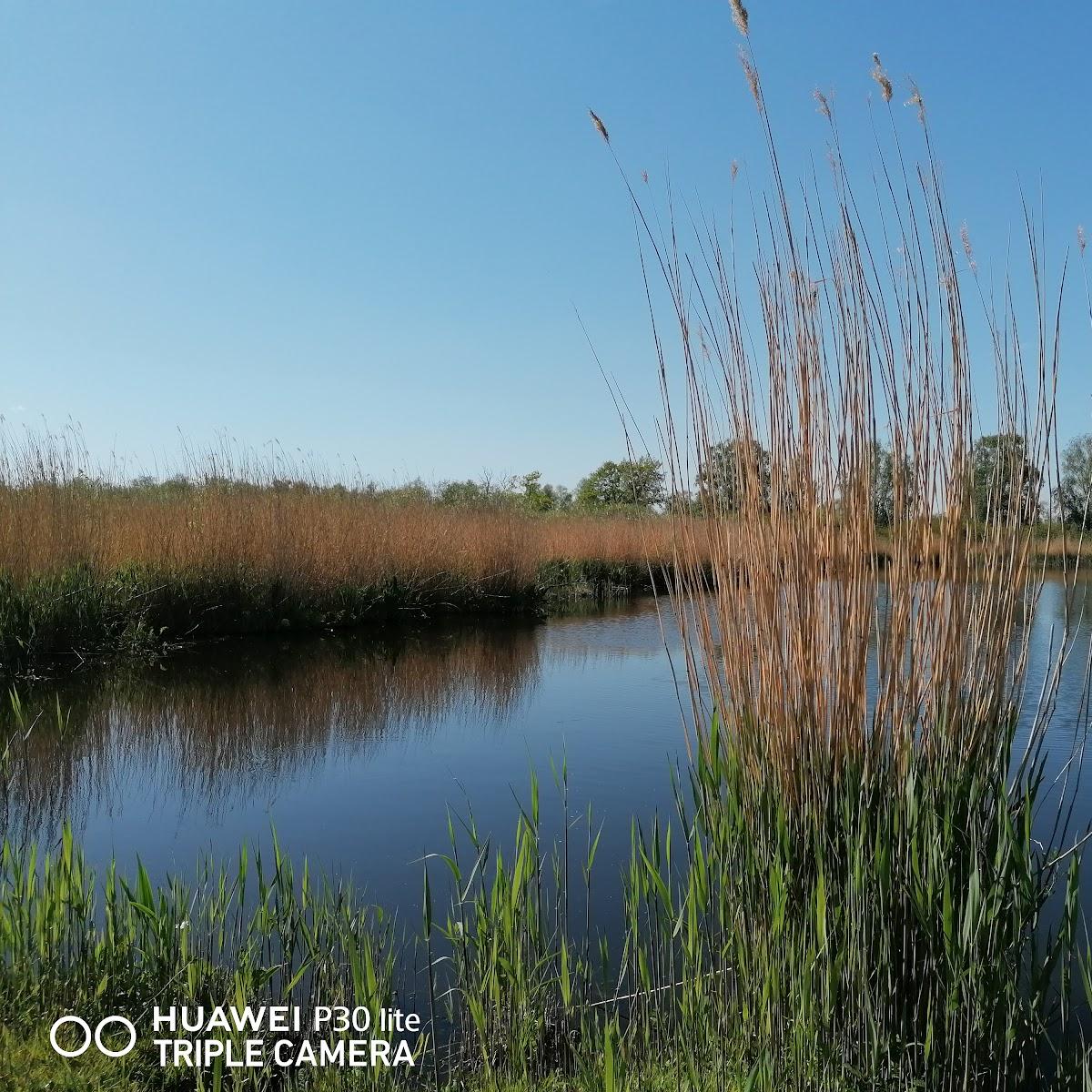 Restaurant "Ferienwohnung PEENEMOOR-JARMEN" in Jarmen