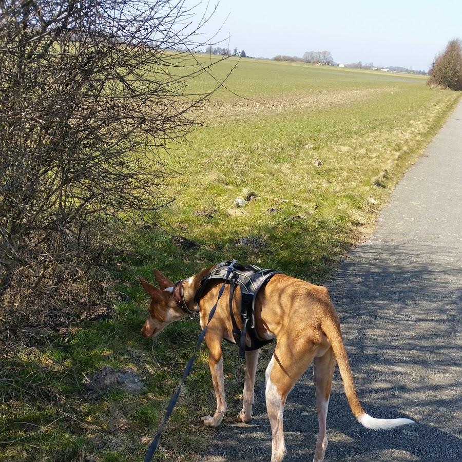 Restaurant "Hof 1" in Trinwillershagen