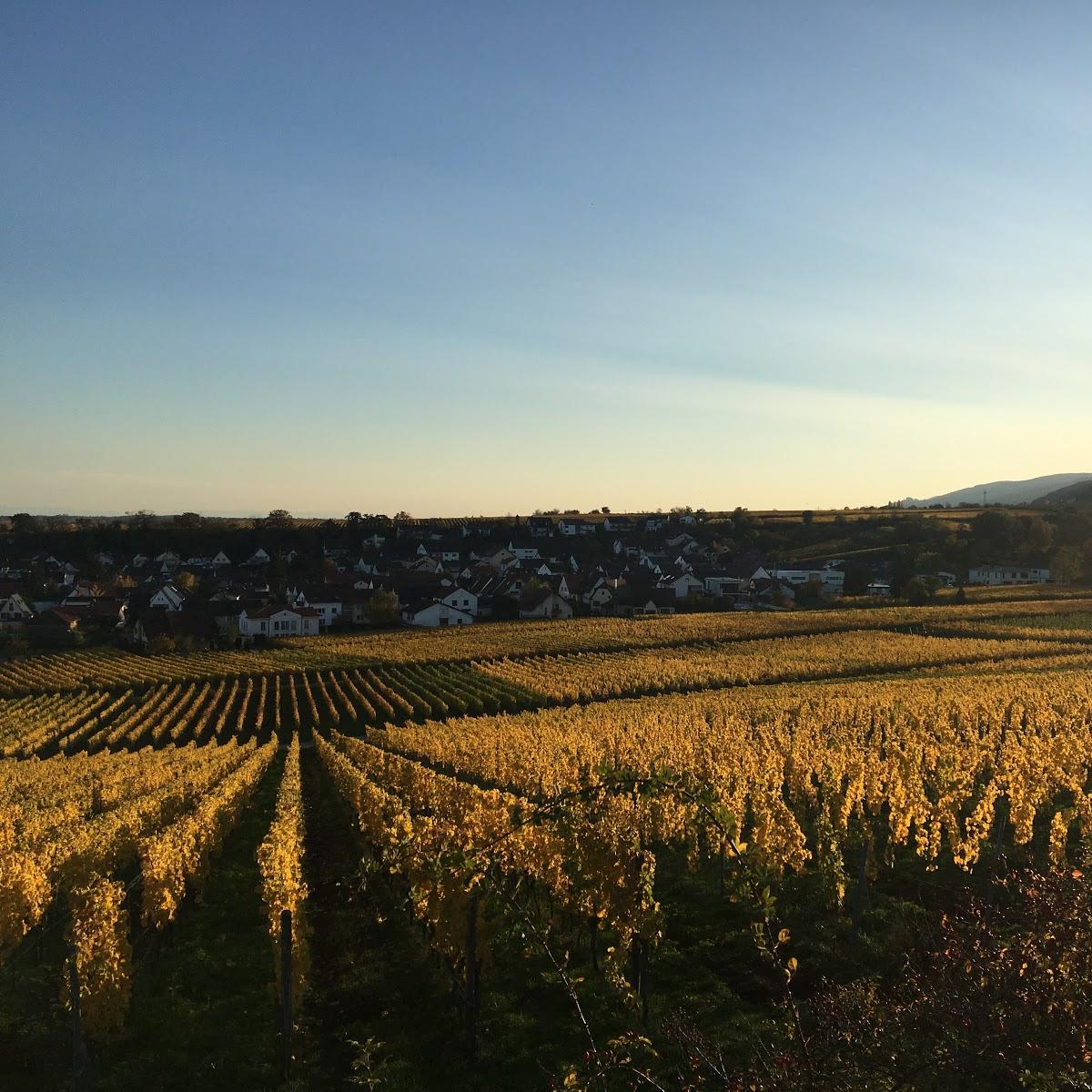 Restaurant "Zum Schockelgaul • Gästehaus ab 2023" in Forst an der Weinstraße
