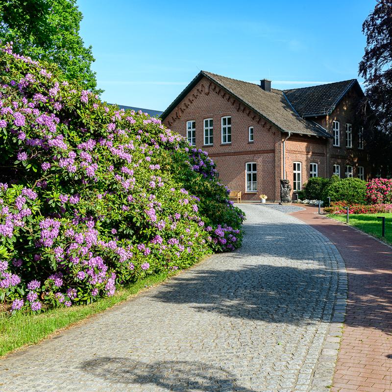 Restaurant "Nutzwedel Resort Orangerie Café Bar Restaurant" in Horst