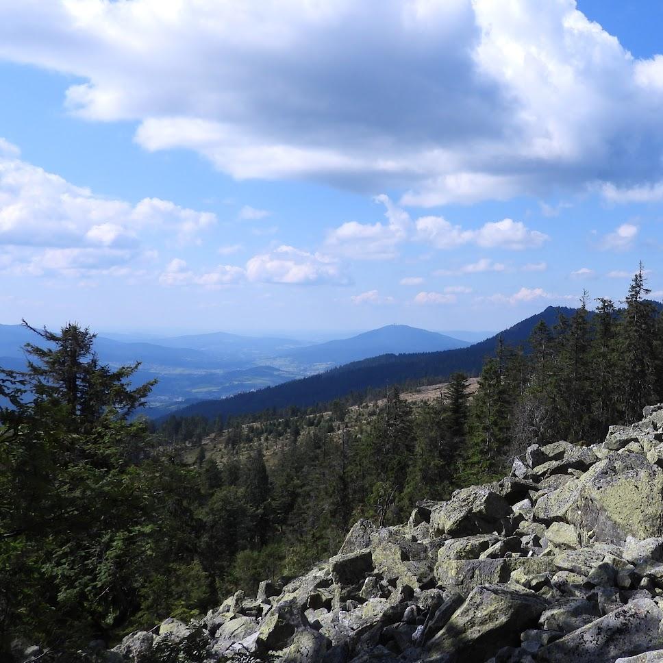 Restaurant "Pension Haus Kress Familie Sperl" in Lohberg