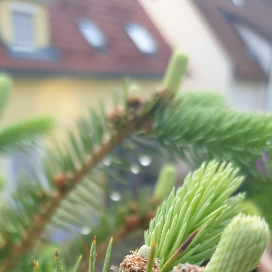 Restaurant "Hütte Beiningen" in Blaubeuren