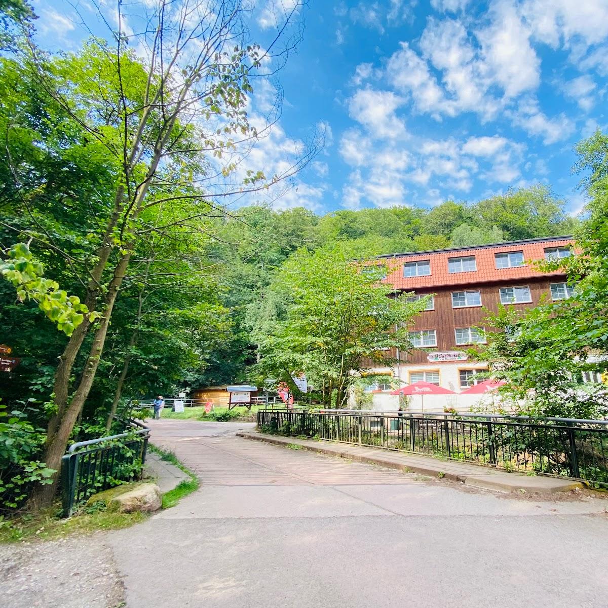 Restaurant "Waldhotel  Am Ilsestein " in Ilsenburg (Harz)
