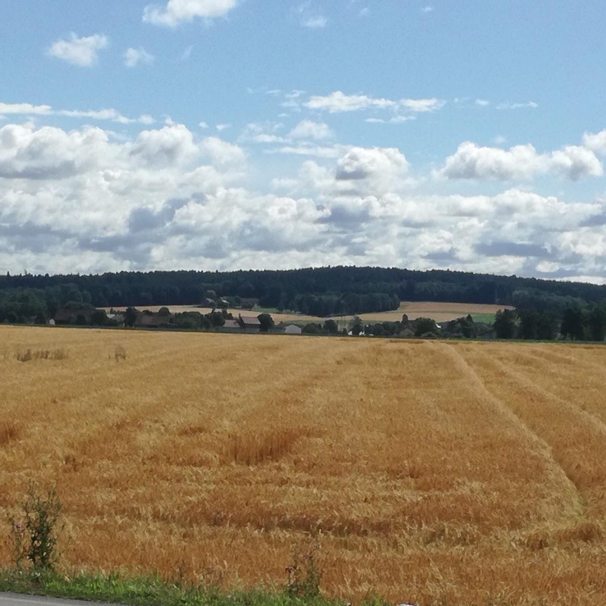 Restaurant "Gasthof Hubertus-Grotte" in Monzelfeld
