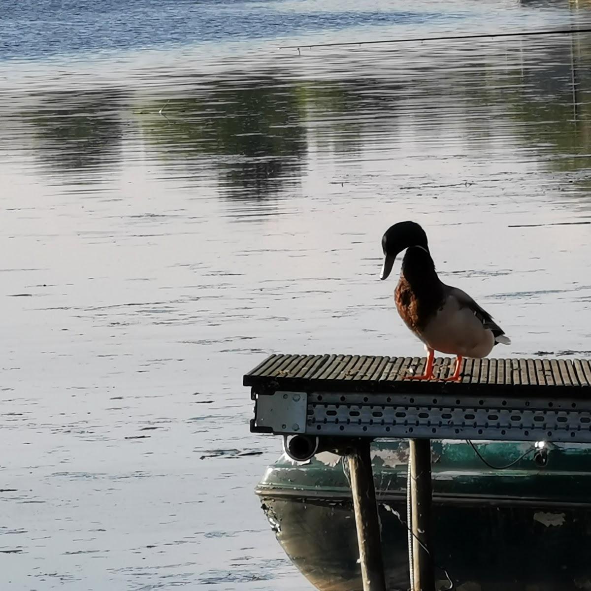 Restaurant "Landgasthof Hagener Meer" in Hamminkeln