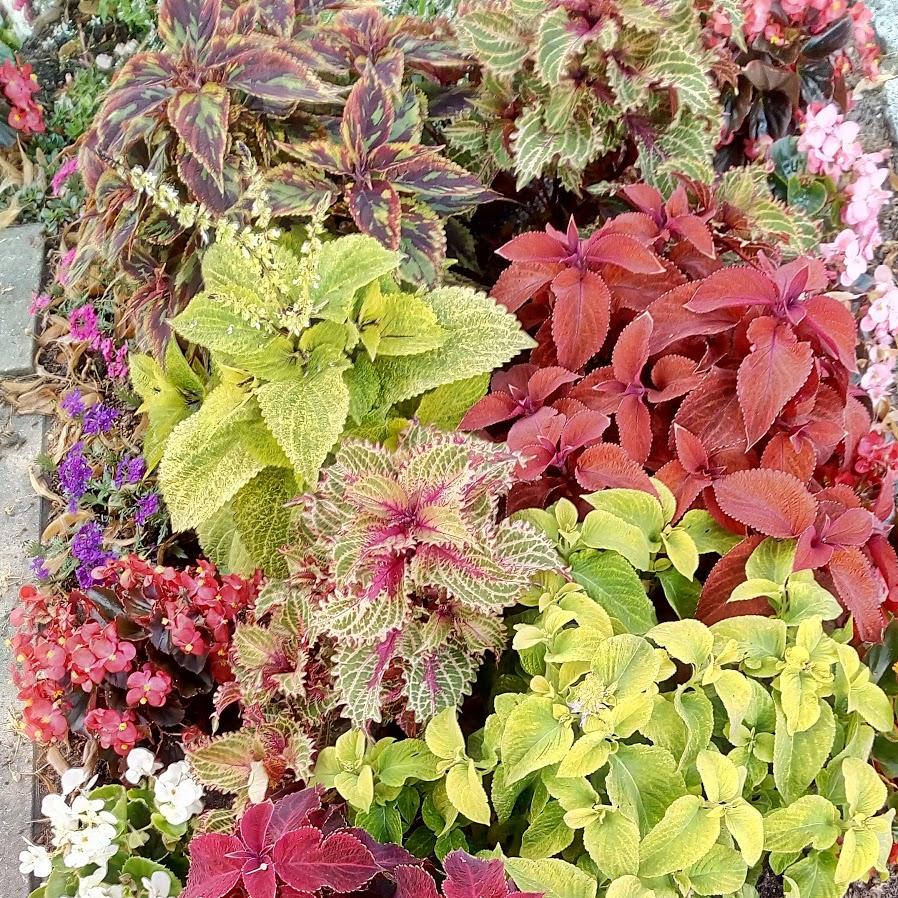 Restaurant "Bieberbach Renate Bürgersaal" in Rückersdorf