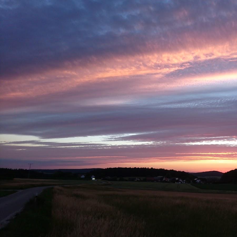 Restaurant "Night Wings MF" in Parsberg