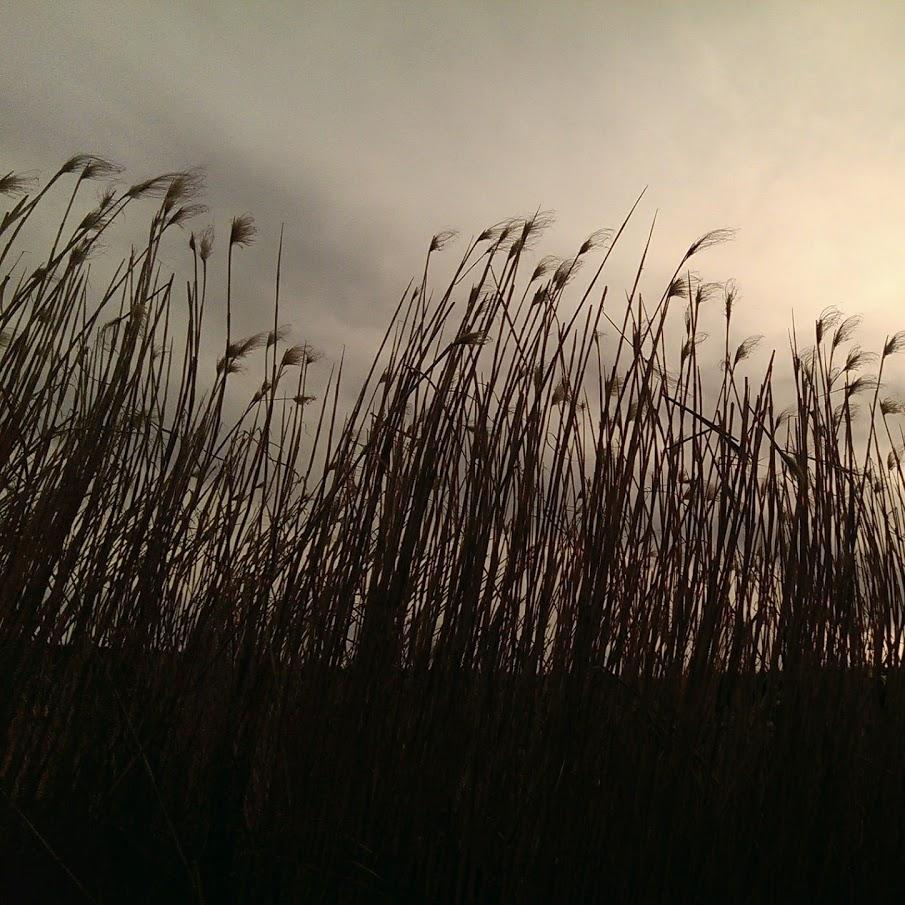 Restaurant "Schnapsbrennerei Held" in Pretzfeld
