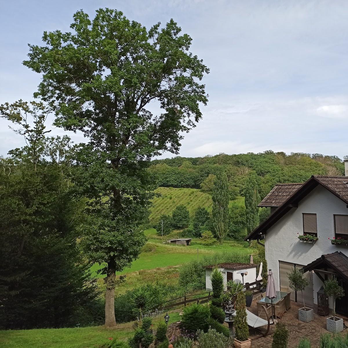 Restaurant "Landhotel und Waldgasthof Lembergblick" in Feilbingert