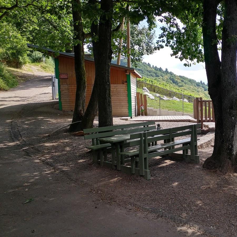 Restaurant "Winzerstüble" in  Gengenbach