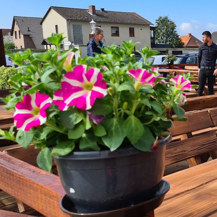 Restaurant "Restaurant Syrtaki" in Osloß