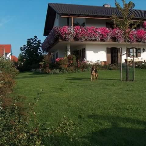 Restaurant "Agathe und Christian Rank" in Pfeffenhausen