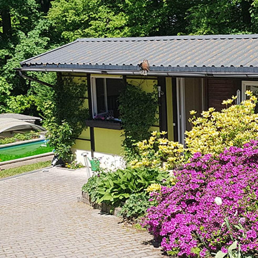 Restaurant "Landgasthof Neue Schänke" in Königstein