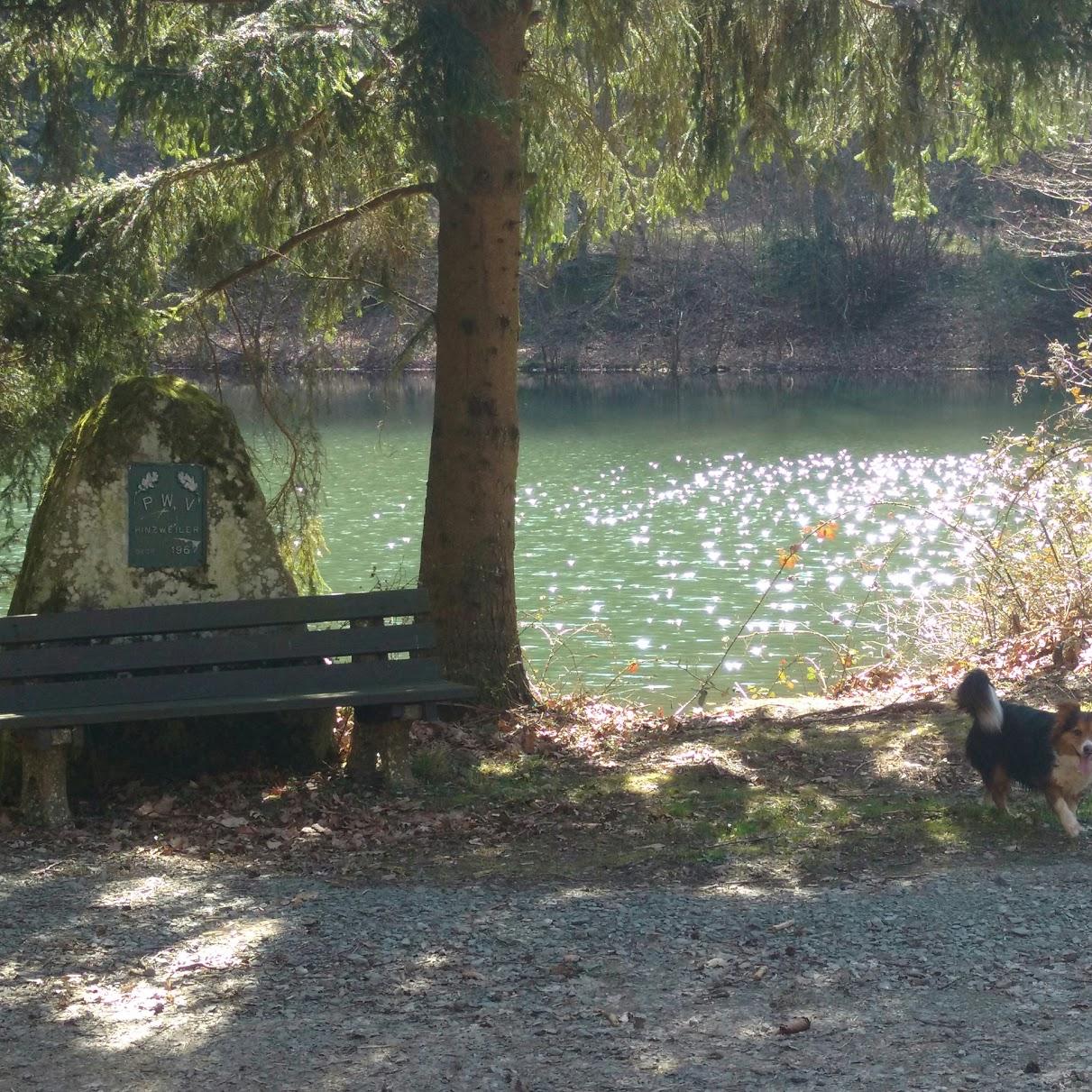 Restaurant "PWV Hütte" in Hinzweiler