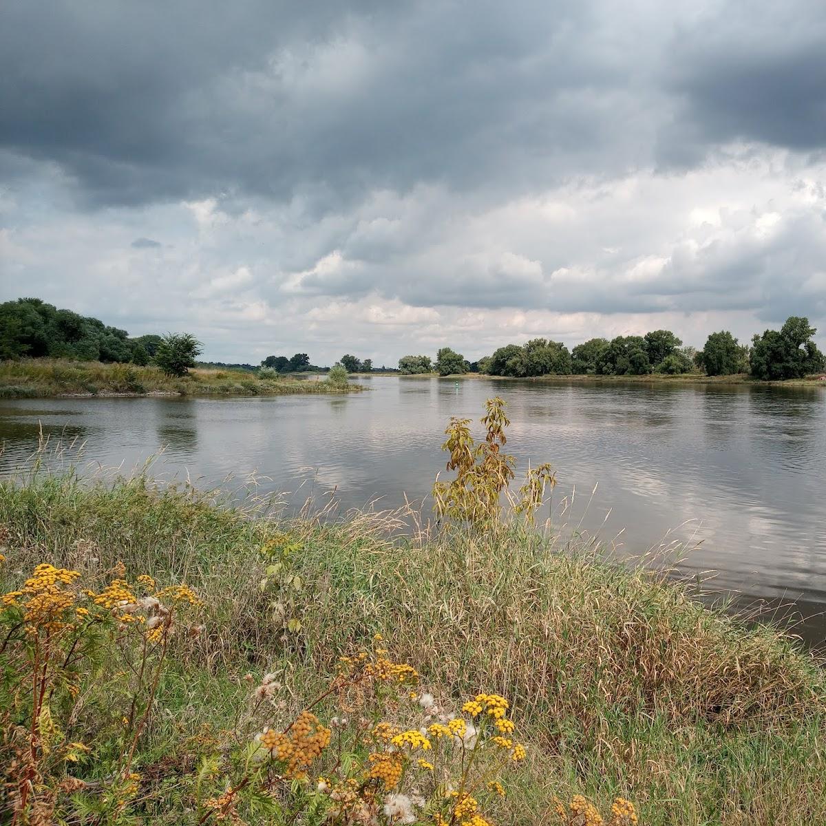 Restaurant "Wassersportzentrum Henning" in Schönebeck (Elbe)