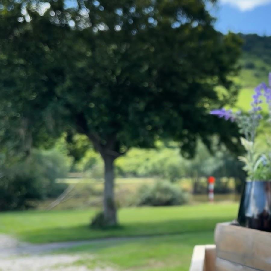 Restaurant "Weinbüdchen an der Mosel" in Zeltingen-Rachtig