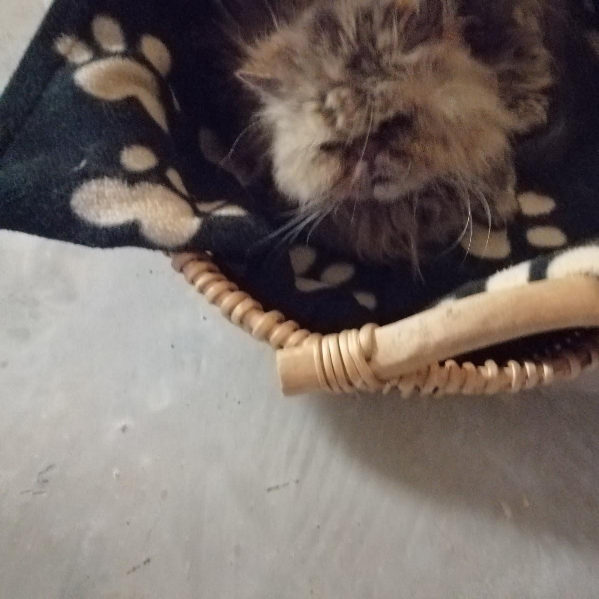 Restaurant "Ottmar Kießling" in  Münchberg