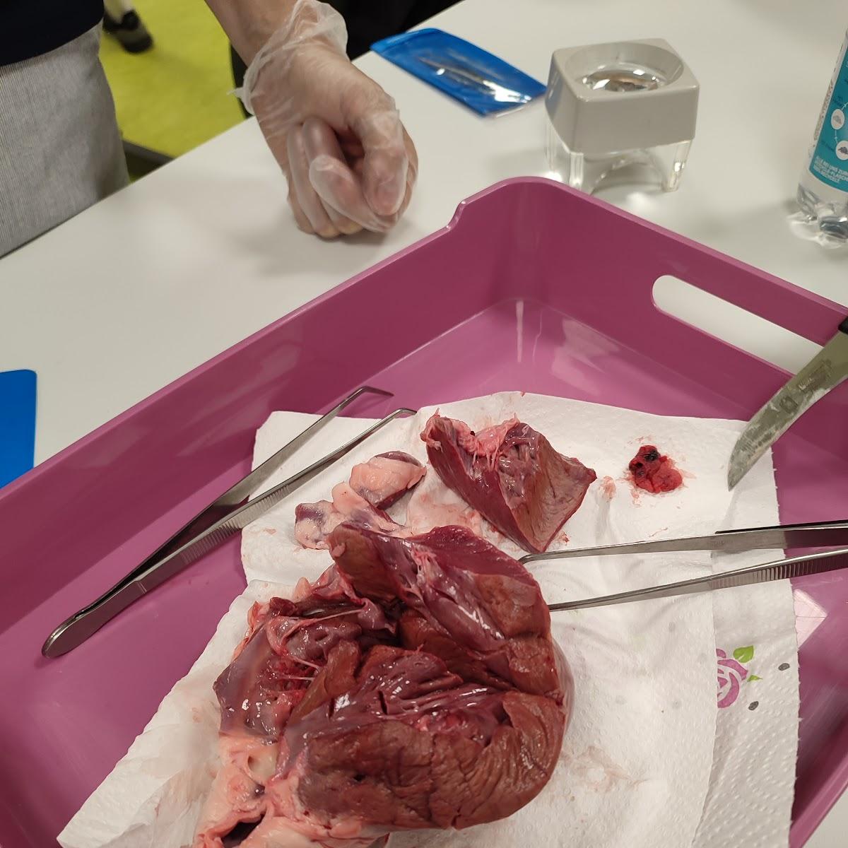 Restaurant "Baptists Bude" in Wangen im Allgäu