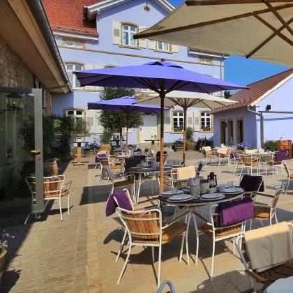 Restaurant "Weingut am Nil Weingut, Frühstück, Gästehaus, Tagungen & Weinevents" in Kallstadt