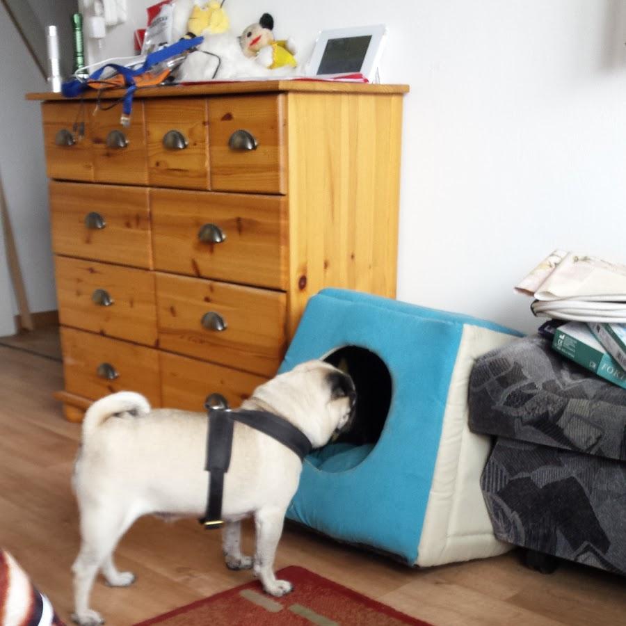 Restaurant "Zur Lacke" in Furth im Wald