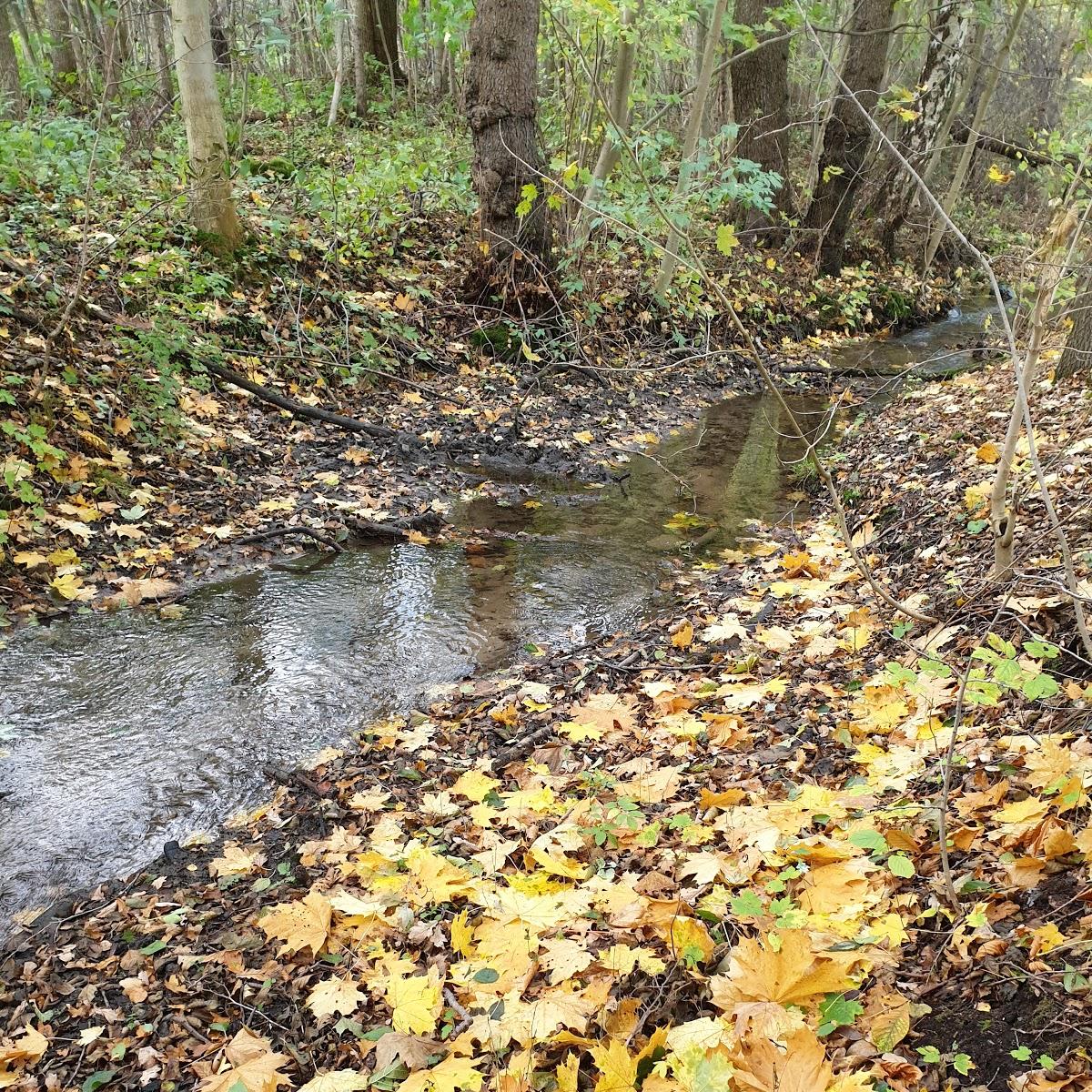Restaurant "Amadeus Boutique Hotel Deutscher Hof Inn & Suites" in  Wald